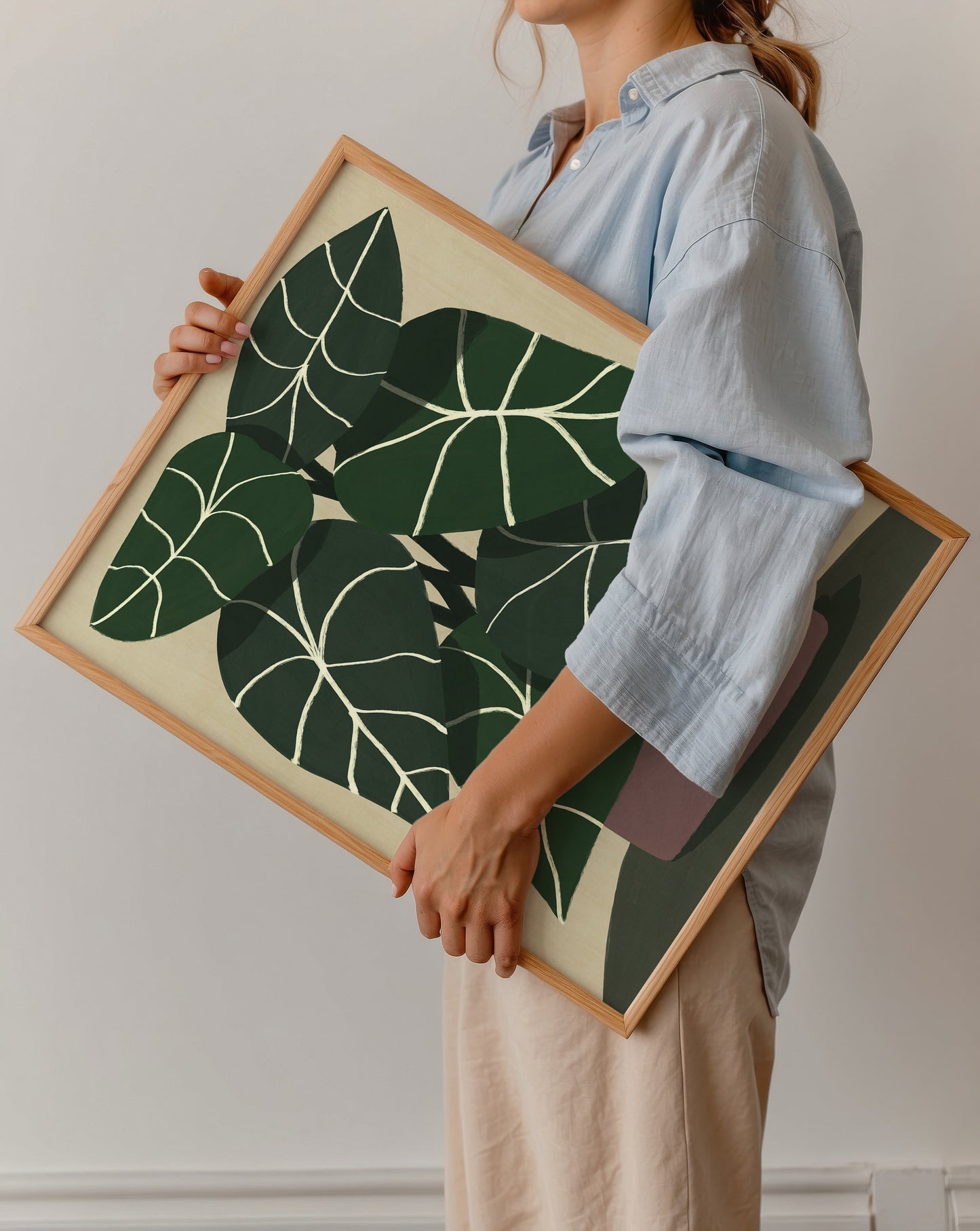 Alocasia