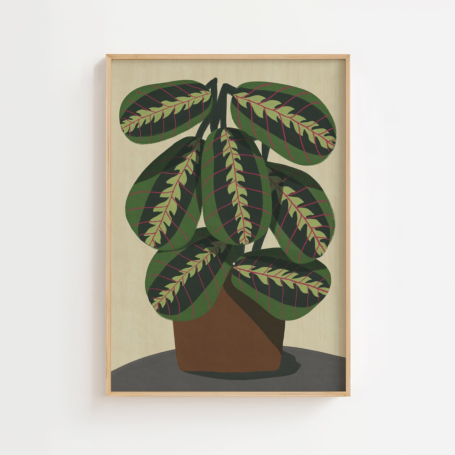 Maranta Fascinator
