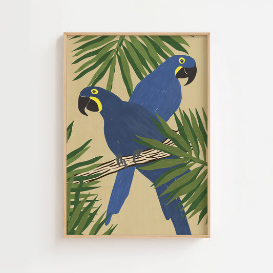 Blue Macaws