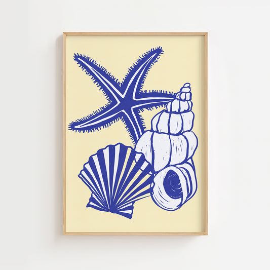 Shells and Star