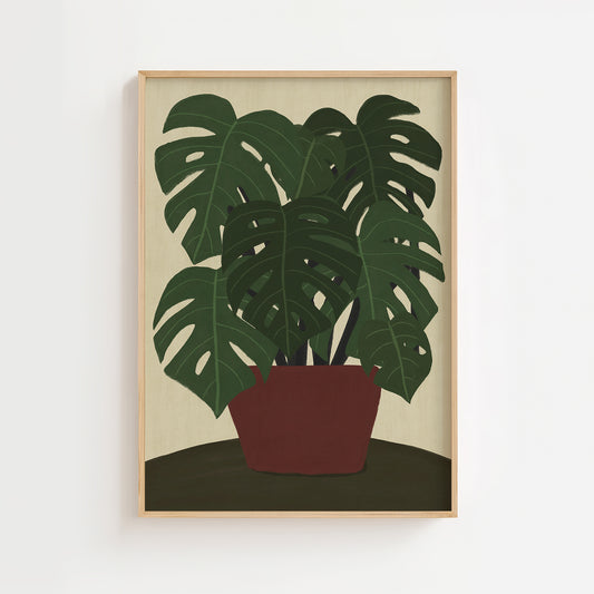Monstera