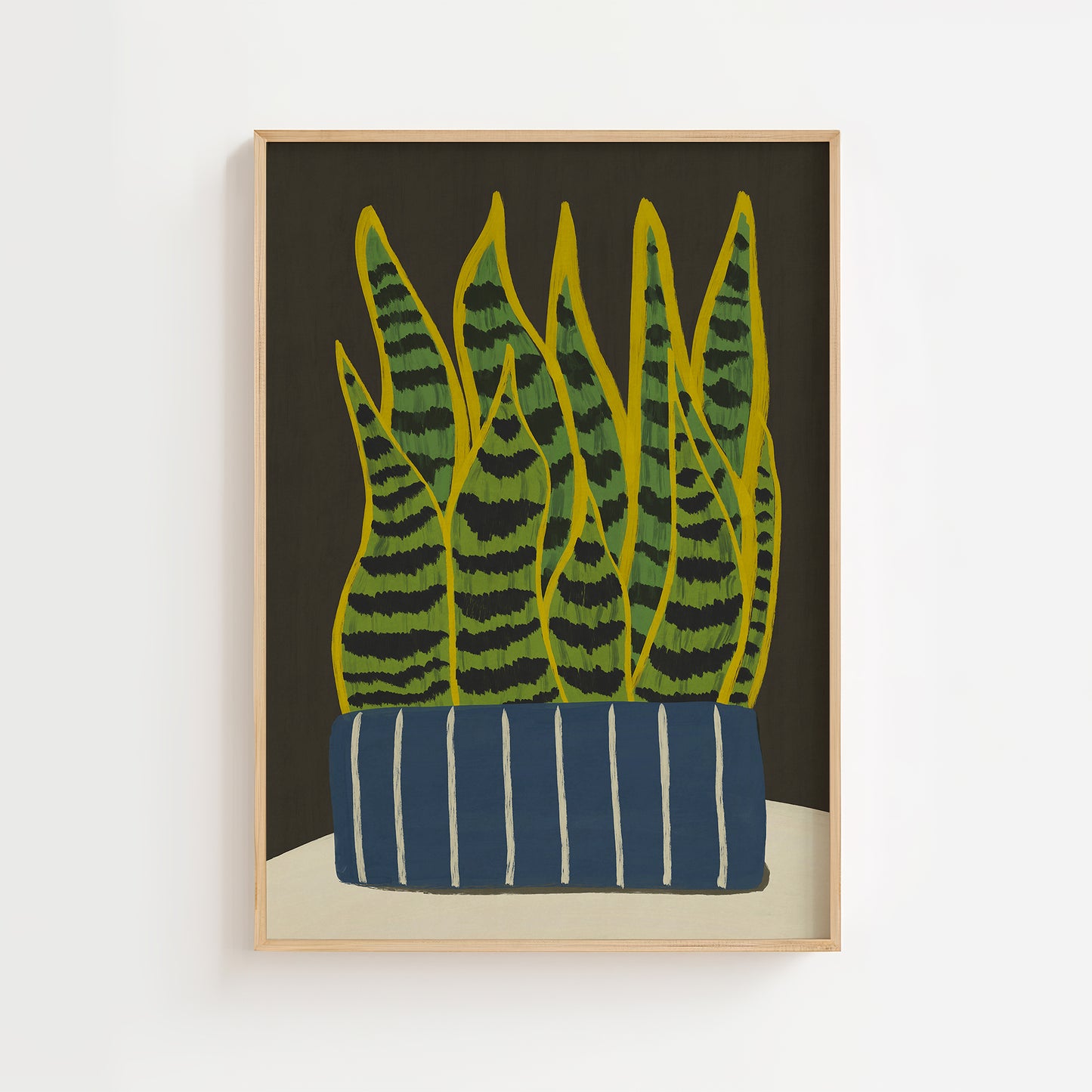 Snake Plant