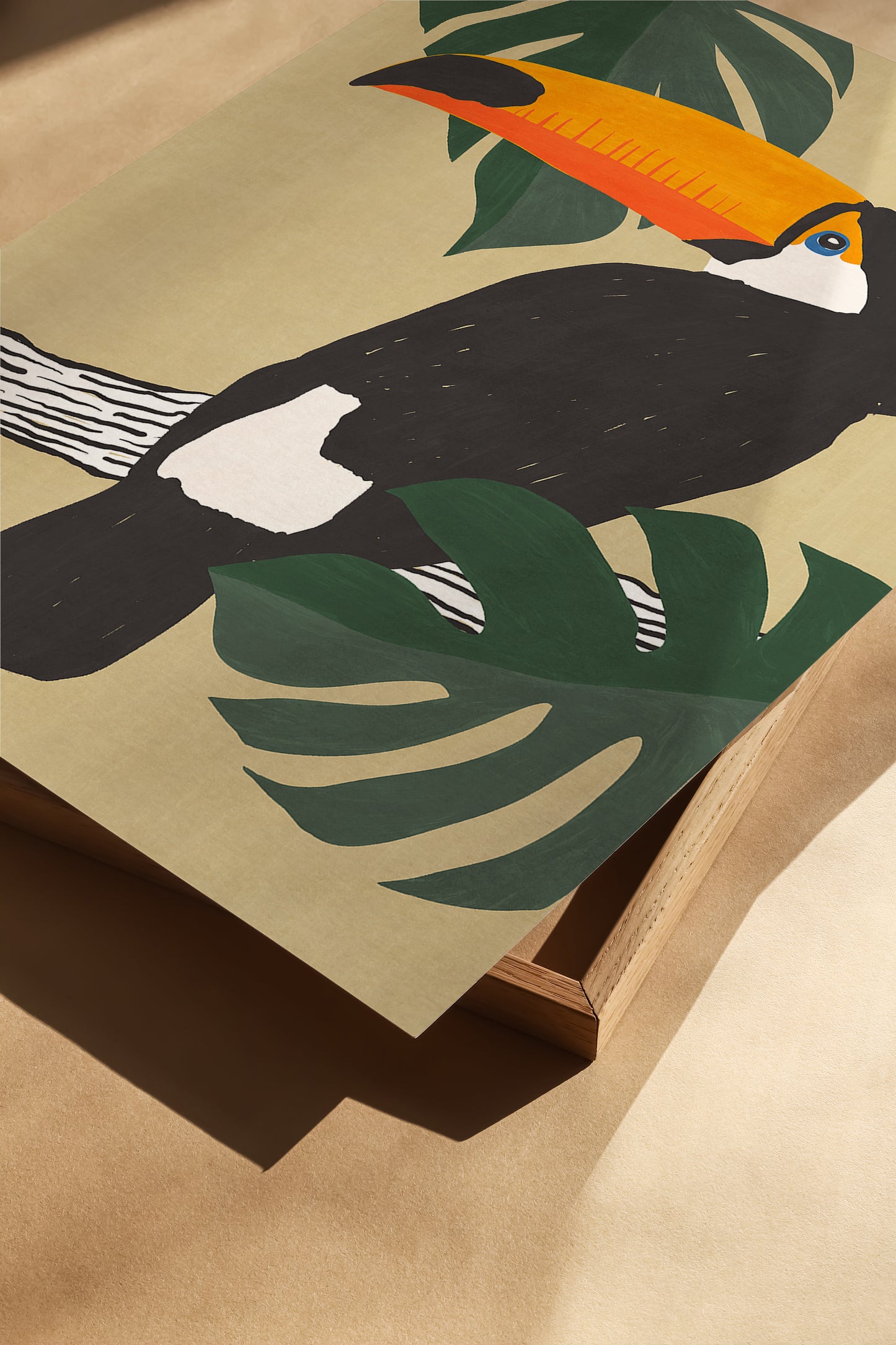 Toucan