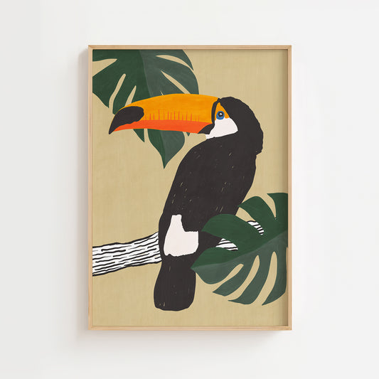 Toucan